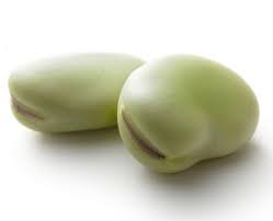 broad bean seed
